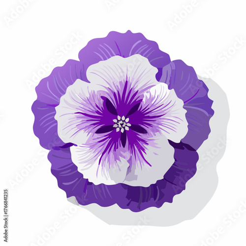 Overhead view of a vibrant purple and white pansy flower isolated on white
