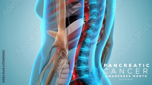 Pancreatic Cancer Awareness Month. Pancreatic cancer concept animation video.
