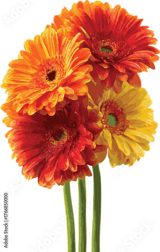Vector art of vivid gerbera flower bouquet for design use