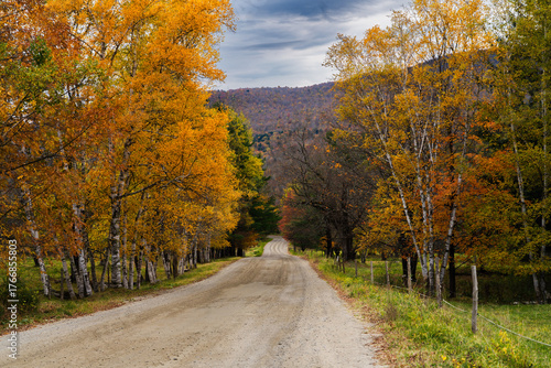 Autumn rural road 