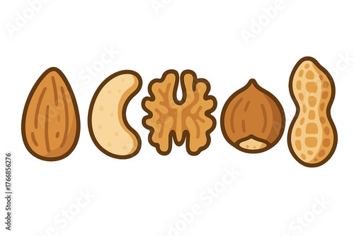 Variety of common snack nuts including almond, cashew, walnut, hazelnut, and peanut isolated