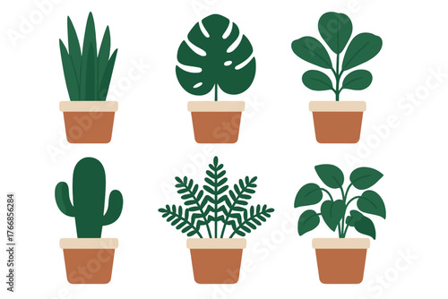 Six popular indoor potted houseplants including cactus, monstera, and tropical foliage