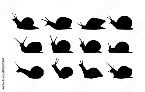 collection of snail silhouettes in various poses
