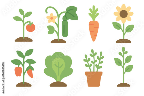 Set of garden plants and vegetables growing in soil including tomato, carrot, and sunflower