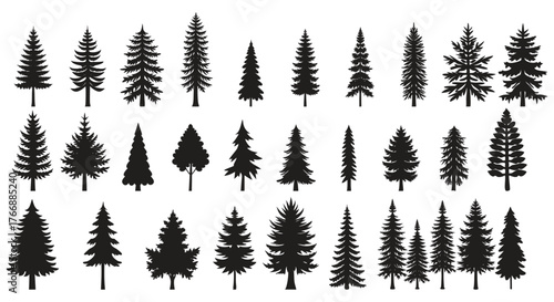 Coniferous Tree Silhouettes — Pine, Fir, Spruce Variations