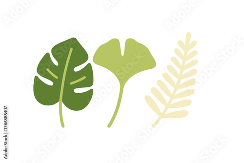 Stylized tropical and deciduous leaves including Monstera, Ginkgo, and fern frond