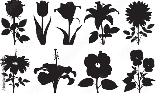 Elegant set of black flower silhouettes, vector illustration of floral branch and leaf design elements