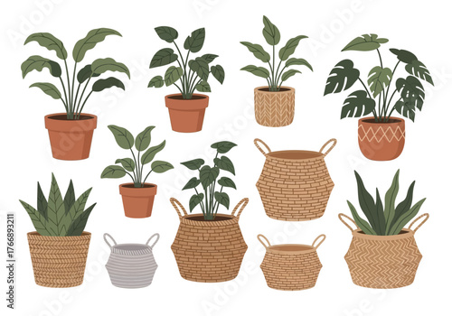 An arrangement of various potted plants and woven baskets on a white background