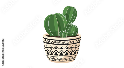 A small potted cactus with multiple green stems and a decorative geometric patterned pot.