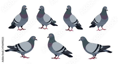 A collection of cartoon pigeons in various poses, perfect for illustrations and designs.