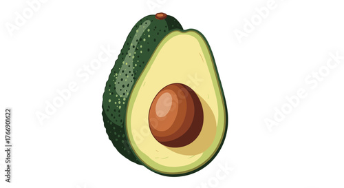 A vibrant illustration of a whole avocado beside a sliced half, highlighting its rough dark green skin, creamy pale green flesh, and central brown pit.
