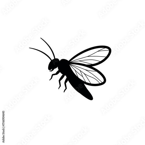Black and white illustration of a flying insect.