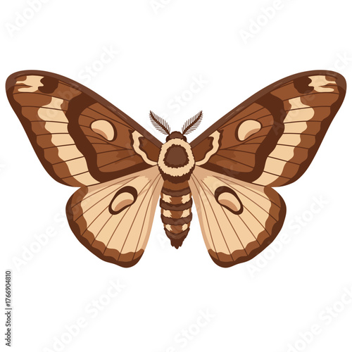 Brown moth with patterned wings illustration.