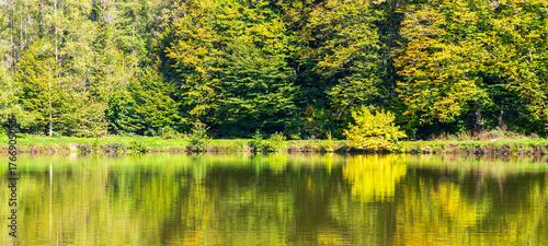 landscape with trees reflected in the lake water on a sunny autumn morning