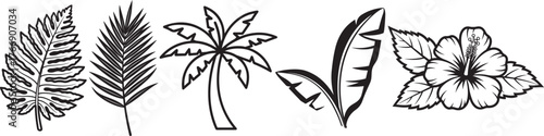 Tropical Leaves and Flower Line Art Set