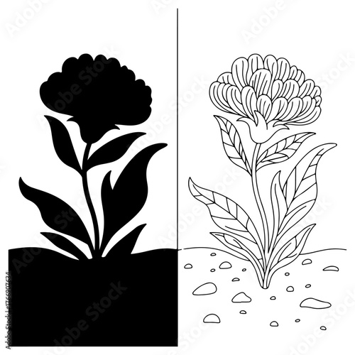 Botanical bloom contrast silhouette and detailed line art flower growing in soil detailed illustration isolated on transparent background