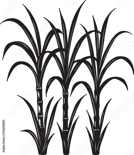 sugarcane plants silhouette vector