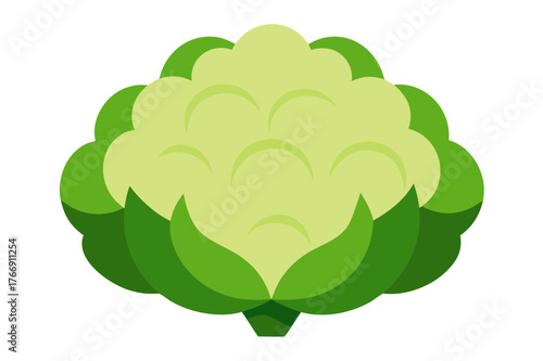 Stylized flat design of a fresh cauliflower vegetable silhouette