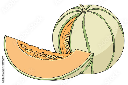 A whole cantaloupe melon and a slice with seeds silhouette
