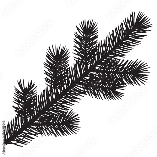 Black silhouette of a pine tree branch with needles on white background vector illustration
