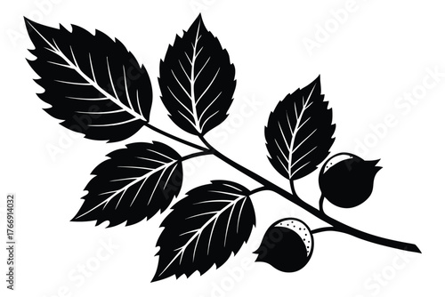 Black branch with vibrant leaves and two fruits displays a striking simplicity