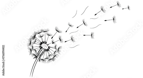 Wallpaper Mural Dandelion seeds blowing in wind minimalist nature line art illustration. Torontodigital.ca