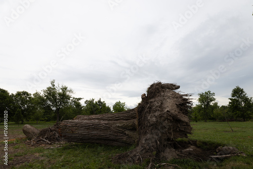Tornado damage in Forest Park, St. Louis, Missouri after May 16, 2025 tornado