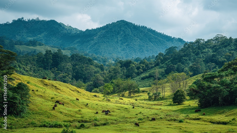 Fototapeta premium Lush Green Valley with Grazing Cattle and Misty Mountain Backdrop
