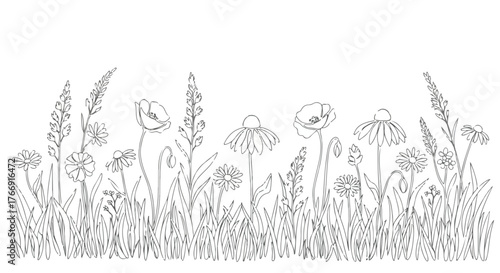Wildflower meadow minimalist botanical floral line art illustration.