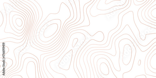 Abstract topography background. Topographic contour map subtle. Wavy paper curved reliefs White background. Geographic mountain relief curve lines background. Vector illustration.	