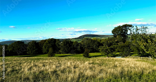 A field of tall grass stretches under a wide, cloudless sky. Distant trees and soft hills cradle the horizon, steeping the landscape in calm and clarity on Cocking Lane, Ilkley, Yorkshire, UK