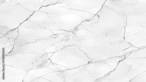 Elegant Stone Surface with Black Veining White Marble