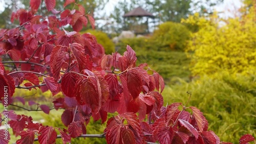 Beautiful autumn park areas on a cloudy day. 