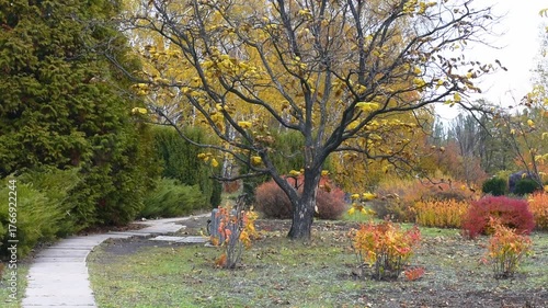 Beautiful autumn park areas on a cloudy day. 