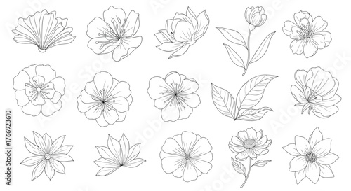 A collection of delicate black and white hand-drawn floral and botanical illustrations, perfect for spring and nature-themed designs.