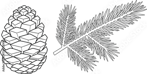Detailed Pine Cone and Fir Tree Branch Outline Vector: Winter Holiday Botanical Line Art Illustration