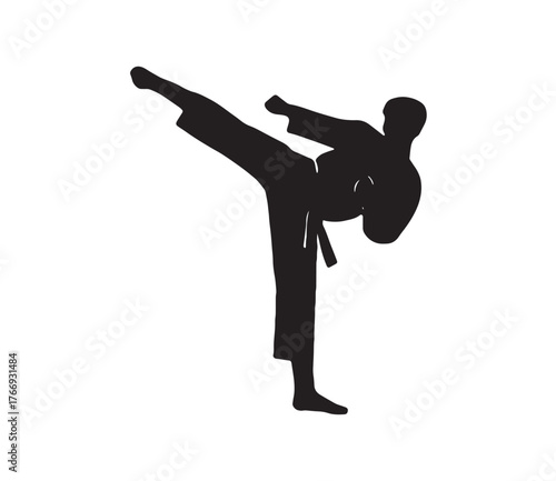 Stylized black silhouette of an athlete in mid-air performing a precise and energetic high kick, representing martial arts, self-defense, and physical fitness