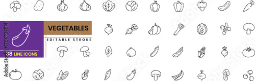 vegetables vector line icon pack