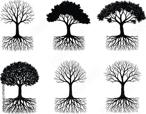 Black Tree Silhouettes with Roots – Vector Trees Showing Canopy and Underground Structure for Nature, Botanical, Seasonal, and Educational Design Use