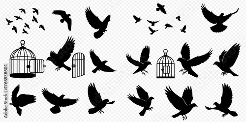 Silhouetted birds in flight and birdcages on a transparent background.