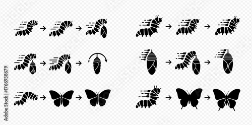 Butterfly life cycle stages: caterpillar, pupa, and butterfly transformation process.