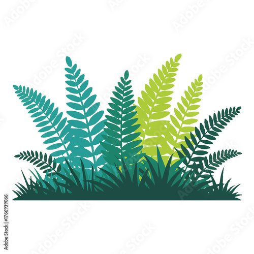 Green and blue fern leaves and grass, isolated on white background