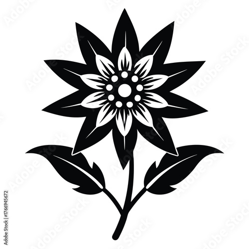 Stylized edelweiss blossom features bold black shapes, defined petals, and detailed center