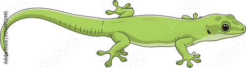 Green gecko, side profile, realistic illustration, reptile anatomy, adhesive toes, long tail, speckled skin, nature study, wildlife art, exotic lizard