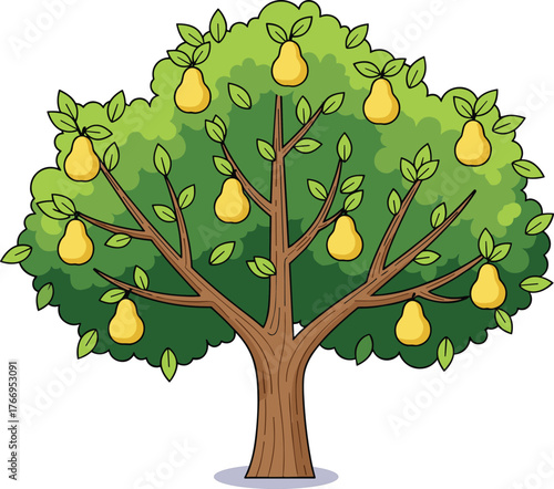 Pear tree, cartoon style, fruit-bearing plant, green foliage, yellow pears, nature illustration, orchard design, agriculture concept, botanical art, garden element