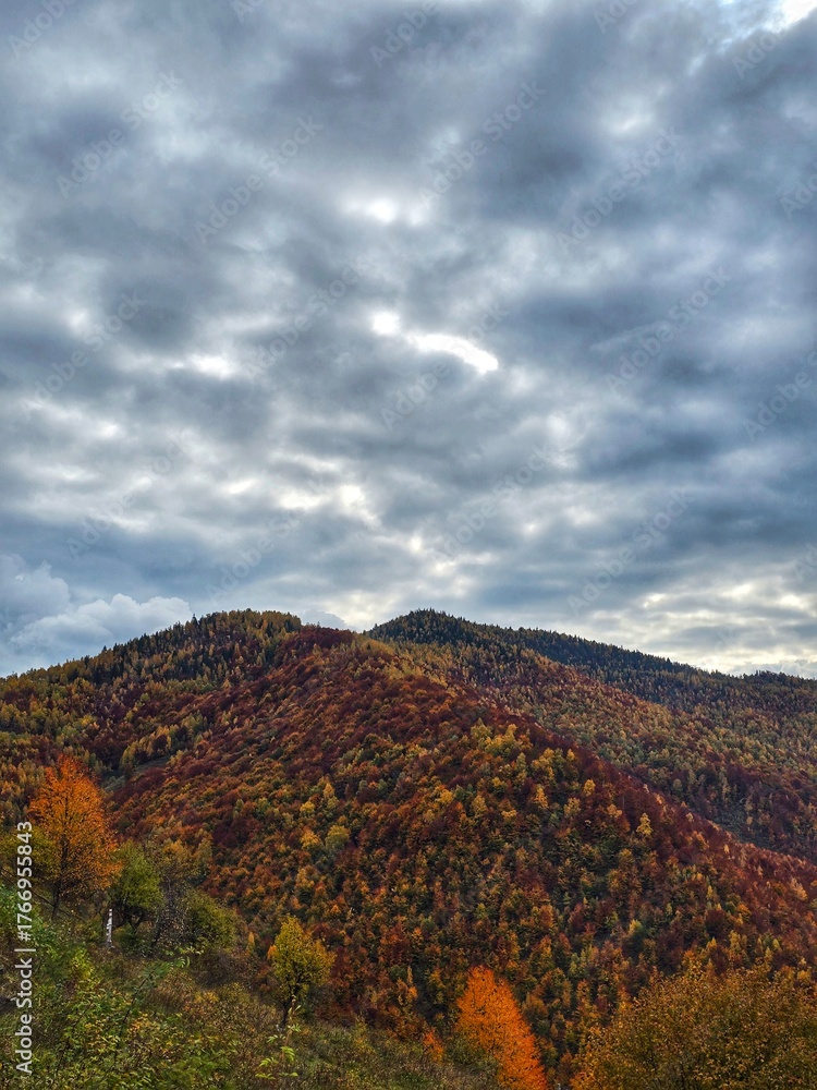 Fototapeta premium Colorful autumn forest mountain with green, yellow, orange and red trees on a cloudy day. Muntele Rece, Cluj, Romania