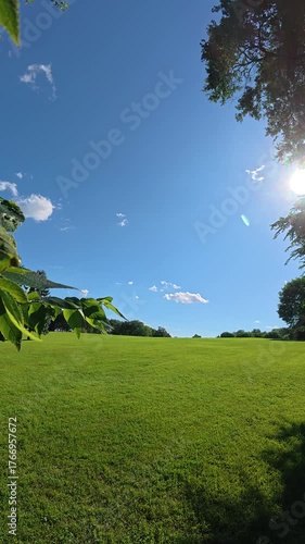 landscape with green grass and blue sky