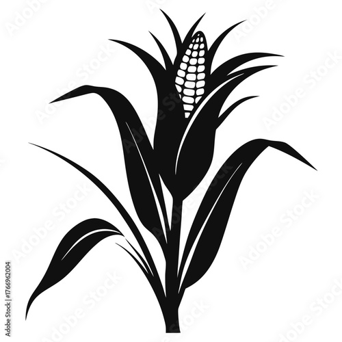 Isolated black corn plant displays detailed kernel and leaves on a white background
