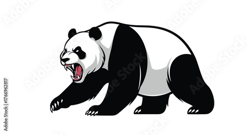 An aggressive panda bear snarling with open mouth and bared teeth, ready to attack, isolated on a white background.