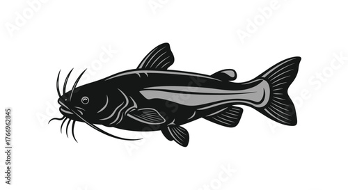 Illustration of a black catfish on a white background, suitable for various uses.